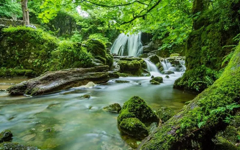 科技智能可靠性